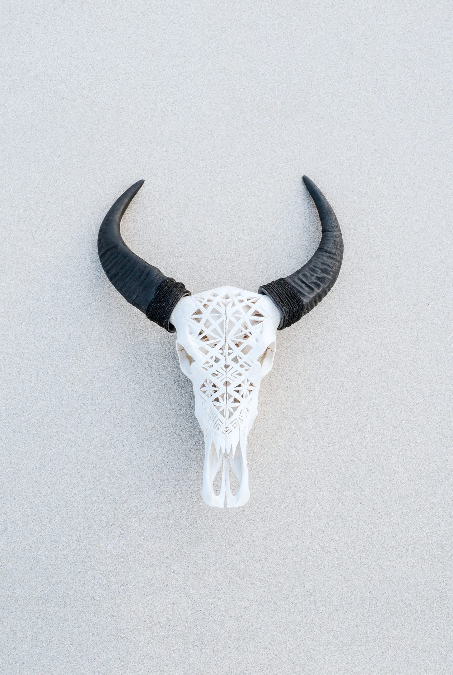 A die cut skull sculpture with black horns mounted on a textured beige wall