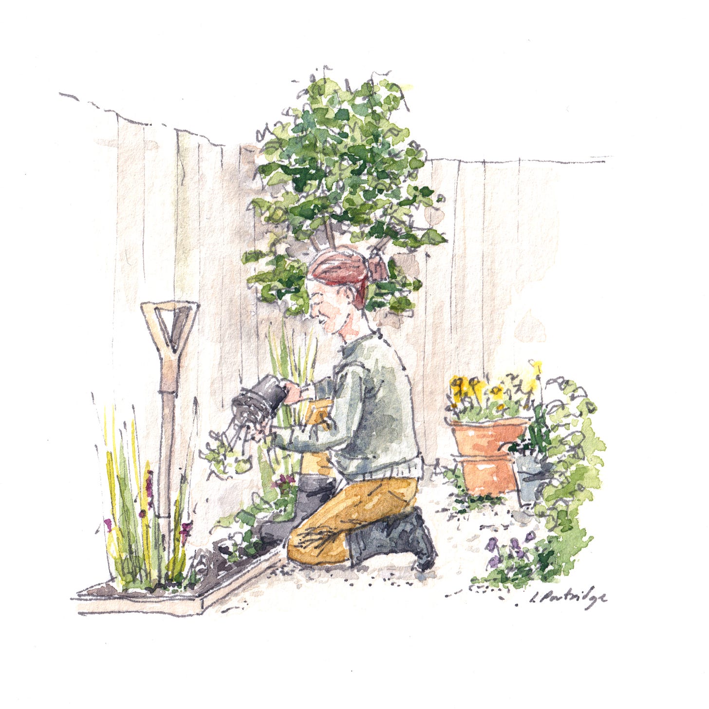 watercolour painting of a woman kneeling in her garden planting flowers. There's a garden fork and flowerpots nearby