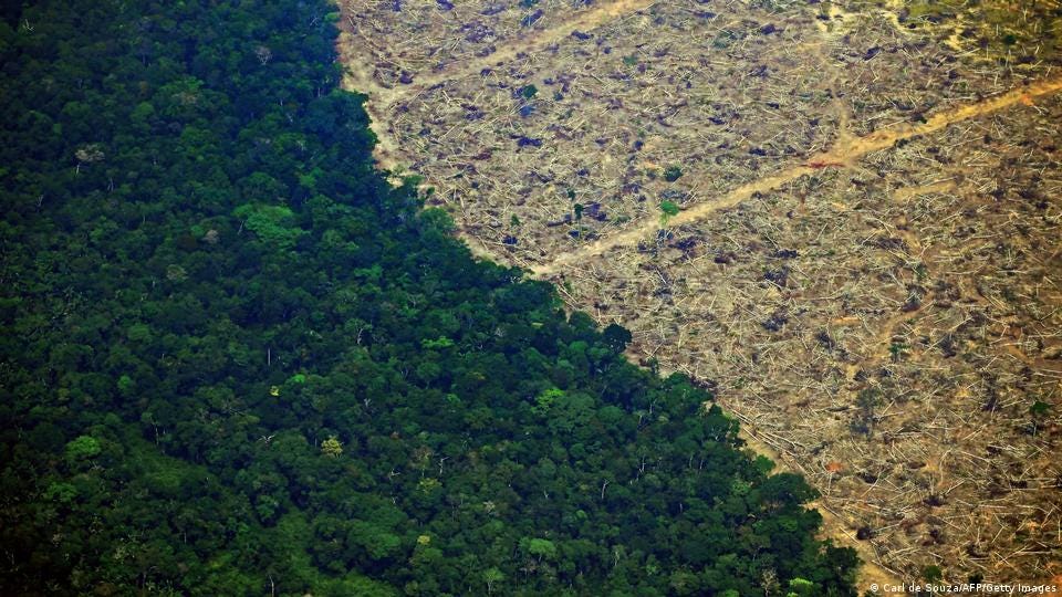 Destruction of the Amazon: What you need to know – DW – 10/13/2022