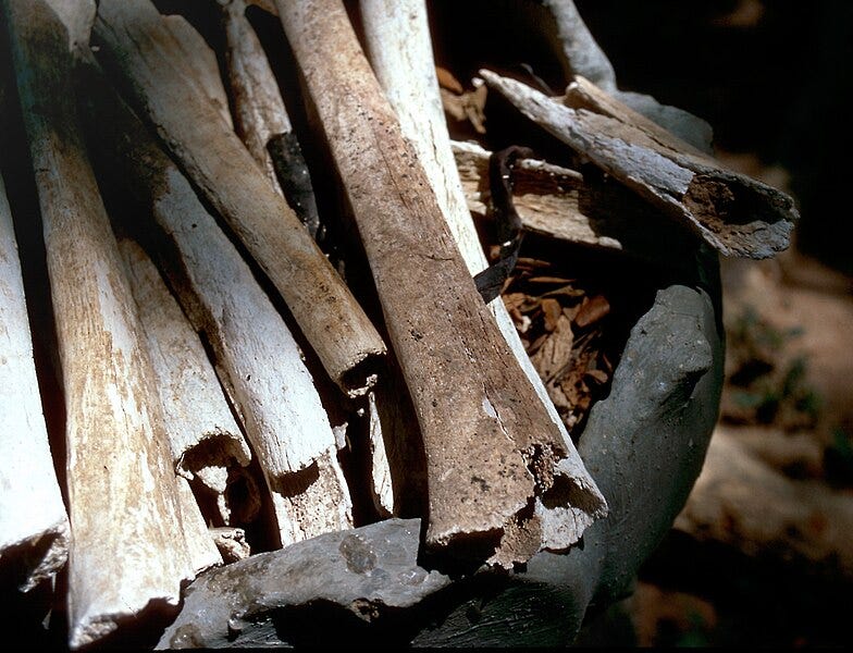 File:Killing fields bones.jpg