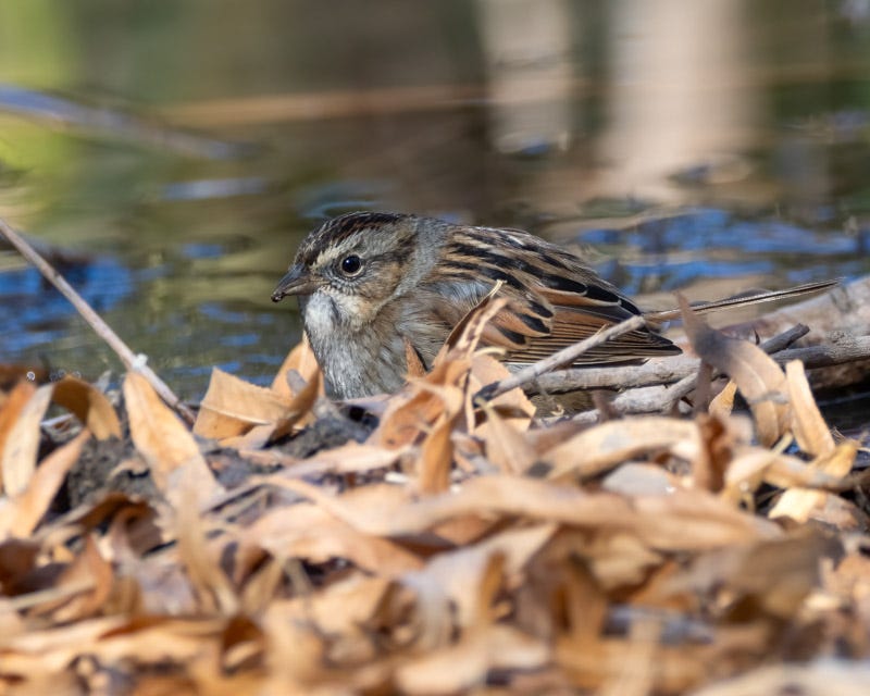 20250114-LakesidePark-361-Edit.jpg