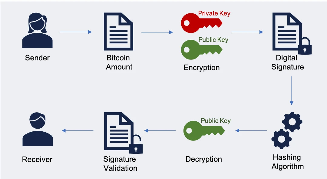 What Is a Digital Signature in Bitcoin | CoinStats Blog