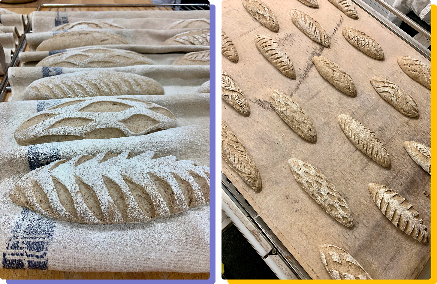 Photos of rye bread before baking