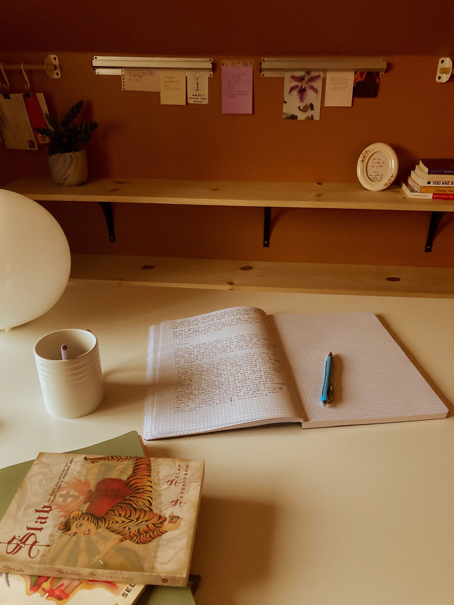 A notebook is open on a desk, next to Selah Saterstrom's book Slab, and a mug.