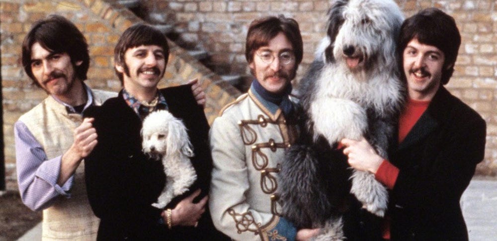 The Best Beatles Song for Dogs | Dog Tag Art