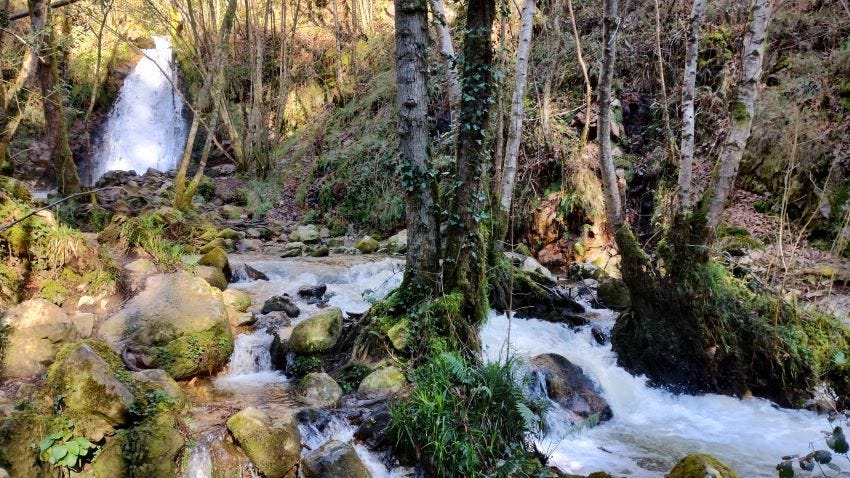 Cascada del río Nonaya