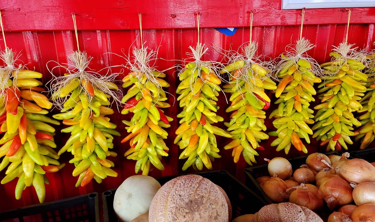 A string of chile caribe ristras. 