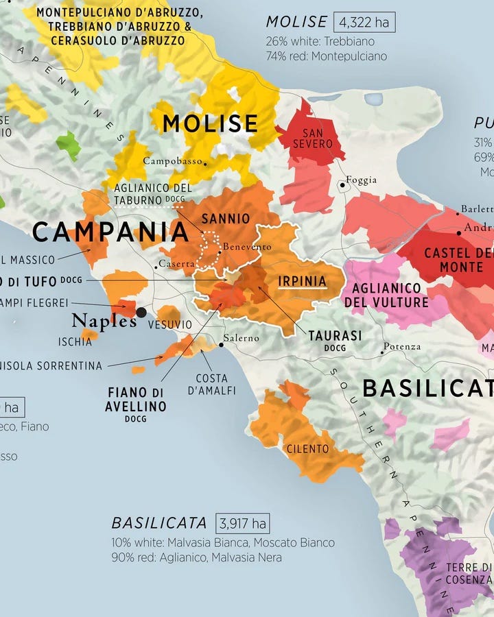 Detail of Vino One wine map of Italy showing Campania region as well as part of Molise and Basilicata.