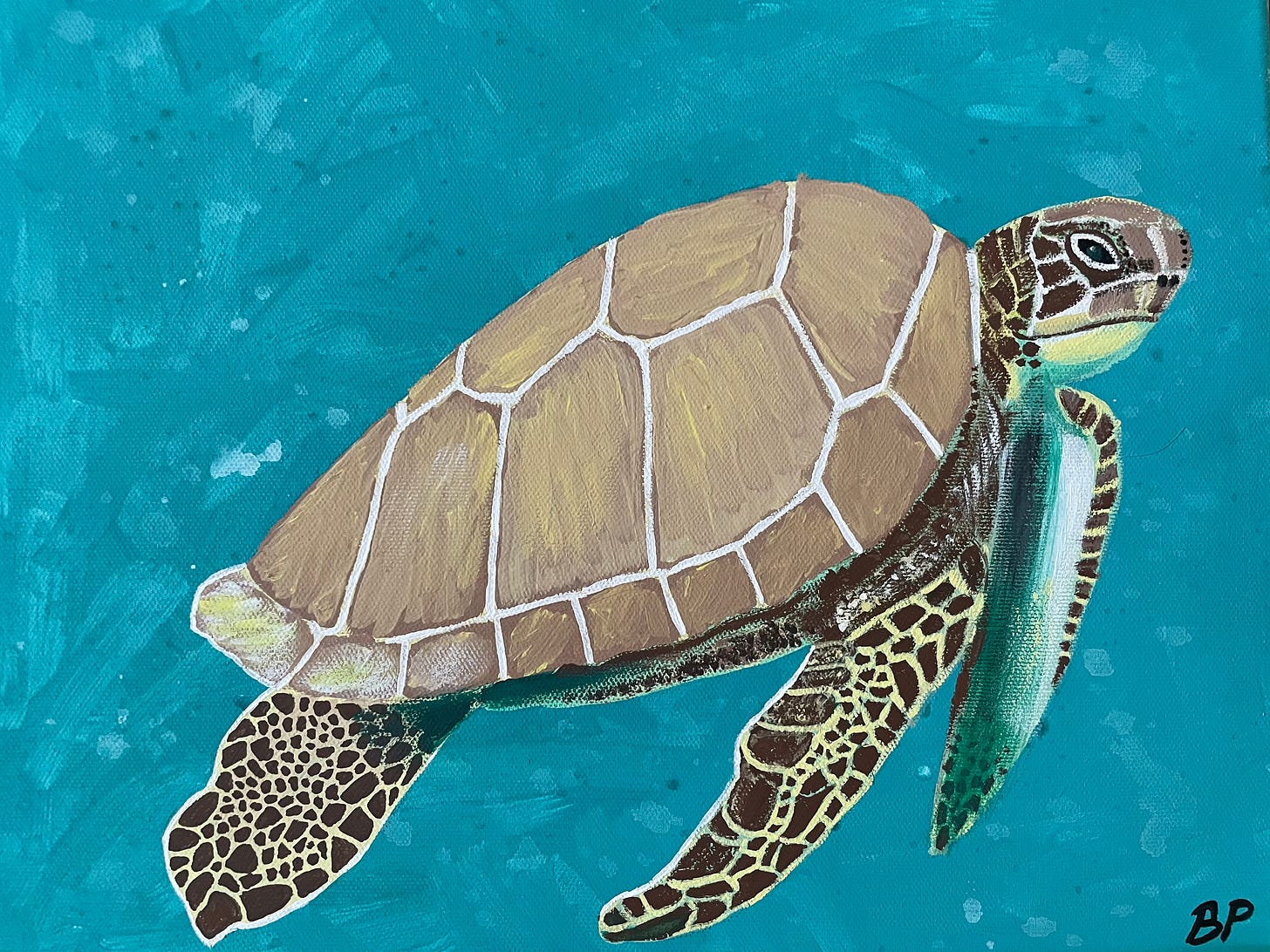 An acrylic painting of a sea turtle. The background is blue, while the turtle is shades of brown, white, and green. 
