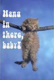 9 Posters ideas | hang in there cat, hang in there, baby, childhood memories