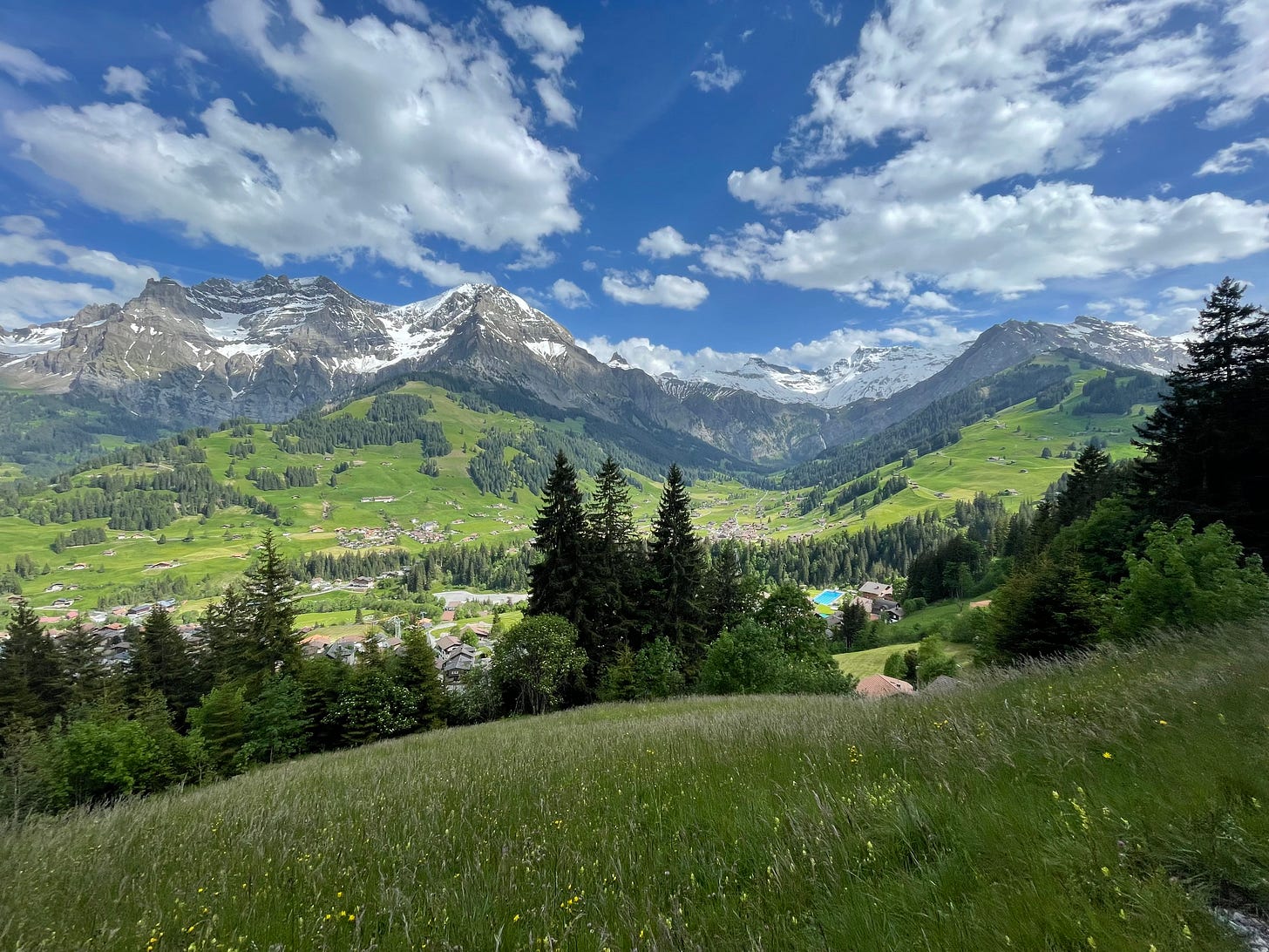 View from Adelboden