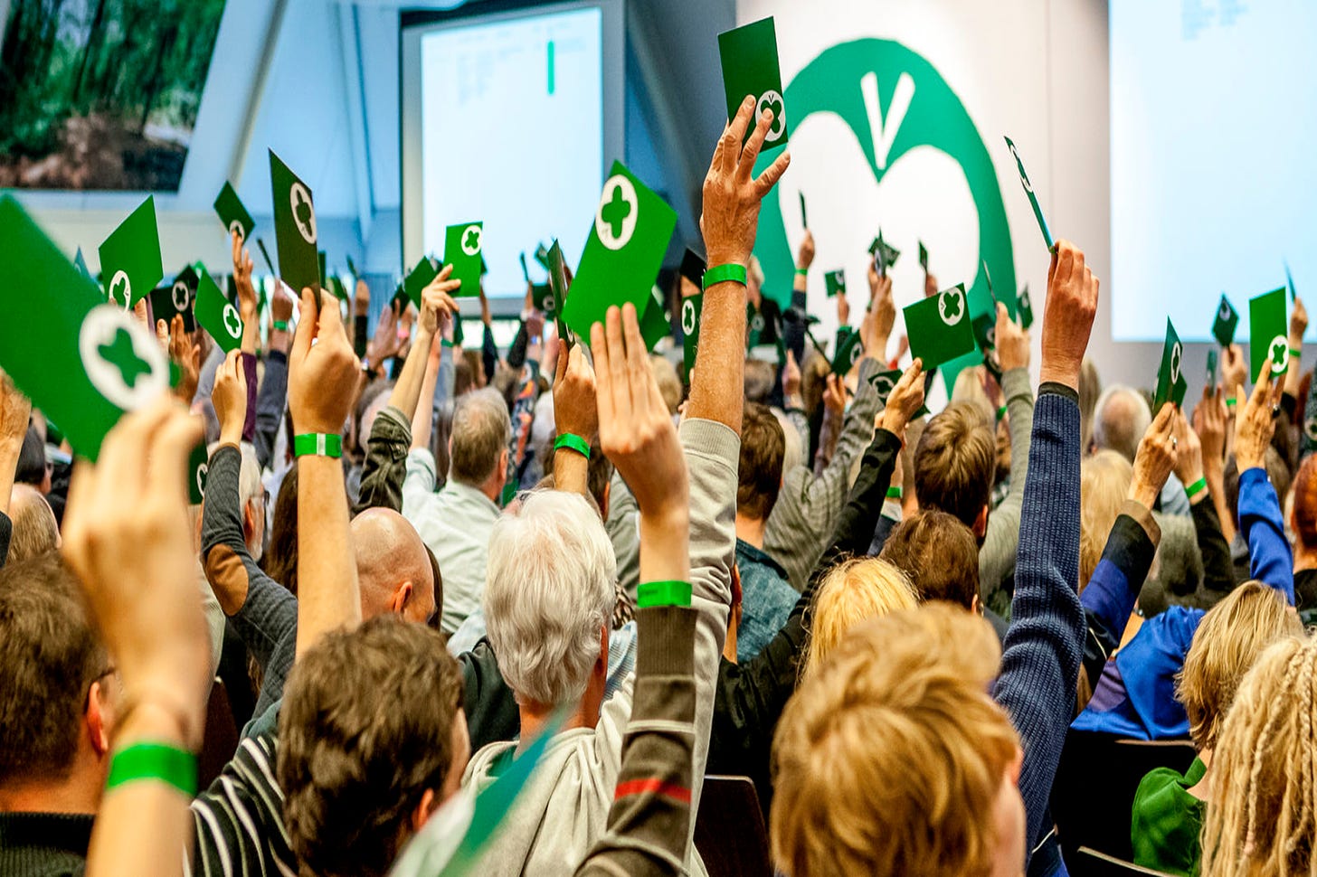 Hundreds of people raising green voting cards up into the air