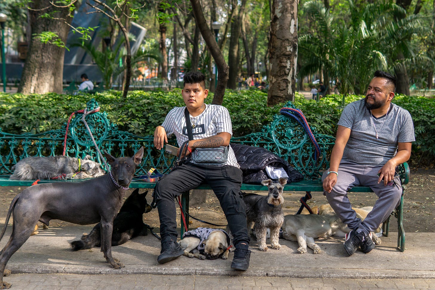 The dog spa team outside Parque España