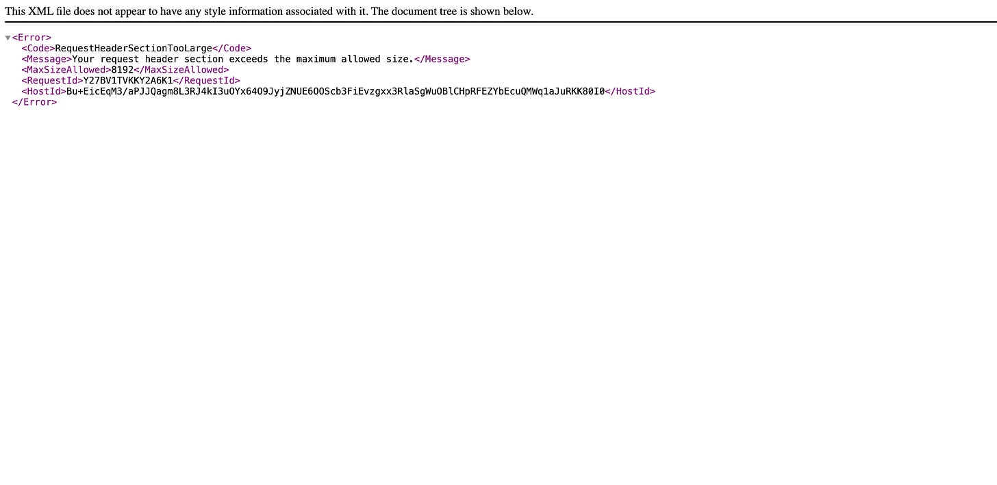 screen shot of naked XML error code