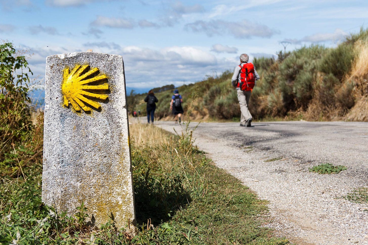 El Camino de Santiago: 8 Destinations on the Camino Francés | Pygmy Elephant