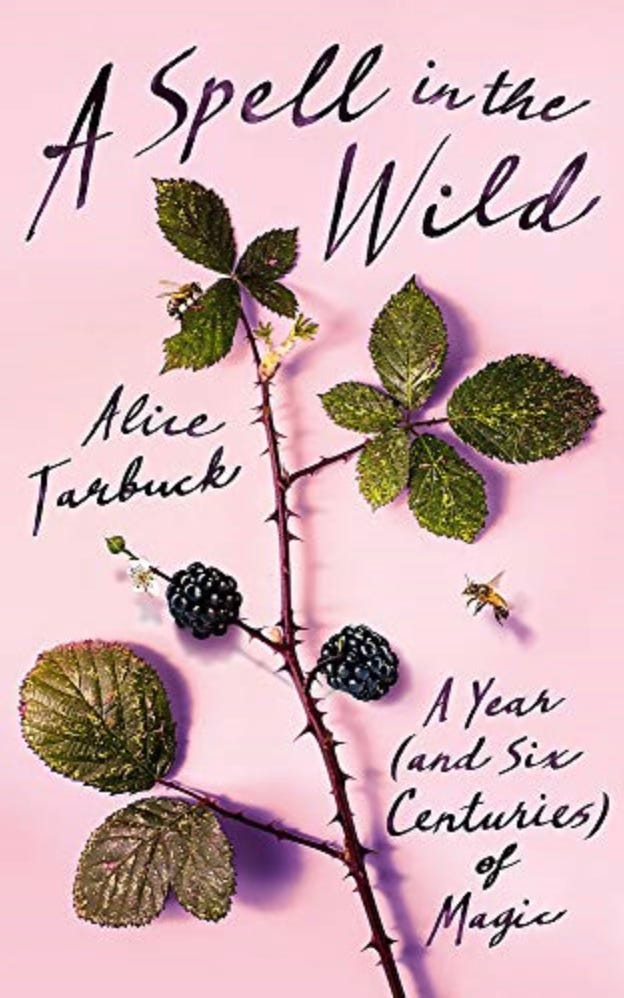 book cover to A Spell in the Wild, a pale pink background with a painted realistic stem from a blackberry with leaves and fruit across the centre and handwritten black text around it.