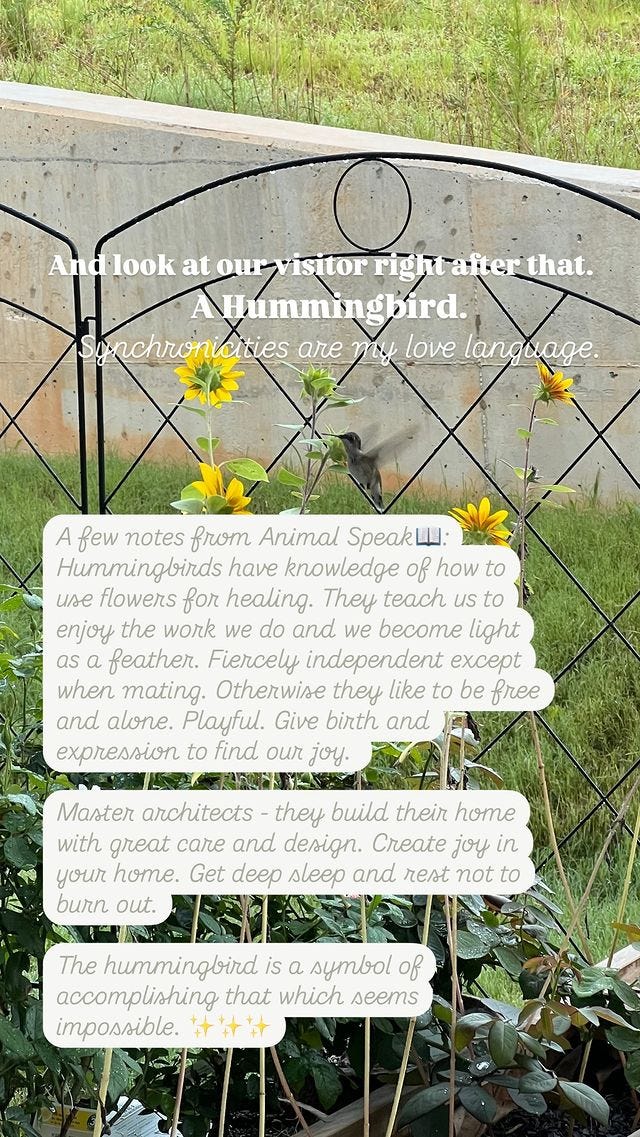 Photo by Marasia Simone on August 03, 2024. May be an image of flower and text.