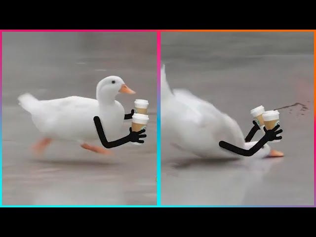 Birds with Arms being the Funniest Thing Ever | ‪@LeopARTnik‬ - YouTube