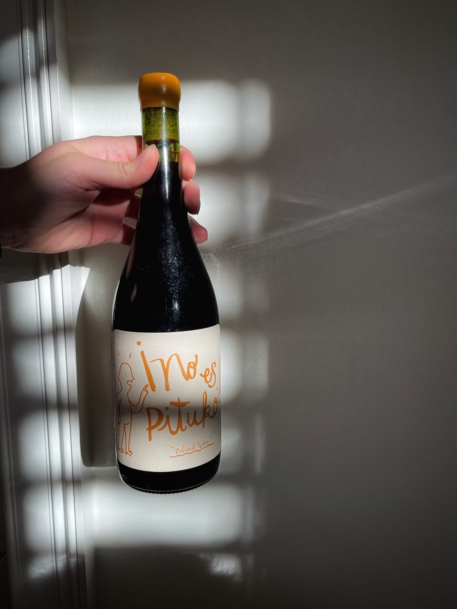 Natural wines to try this fall by food and travel writer Courtney Jill Bishop.