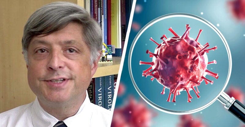 jeffrey taubenberger and covid spike protein