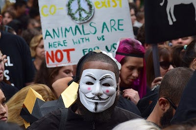 ''Animal Rights''