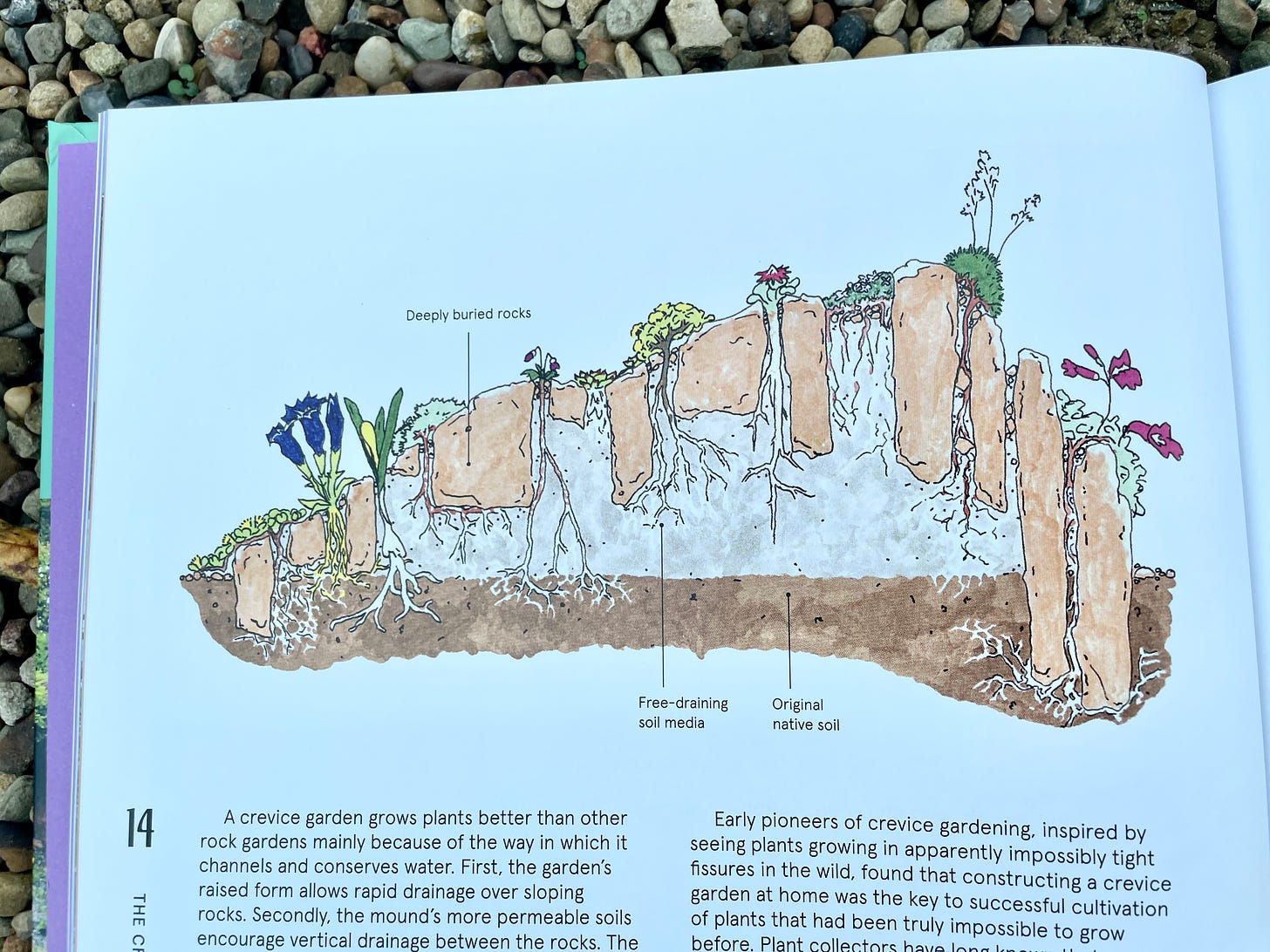 Diagram of a “crevice garden” in The Crevice Garden by Kenten Seth & Paul Spriggs.