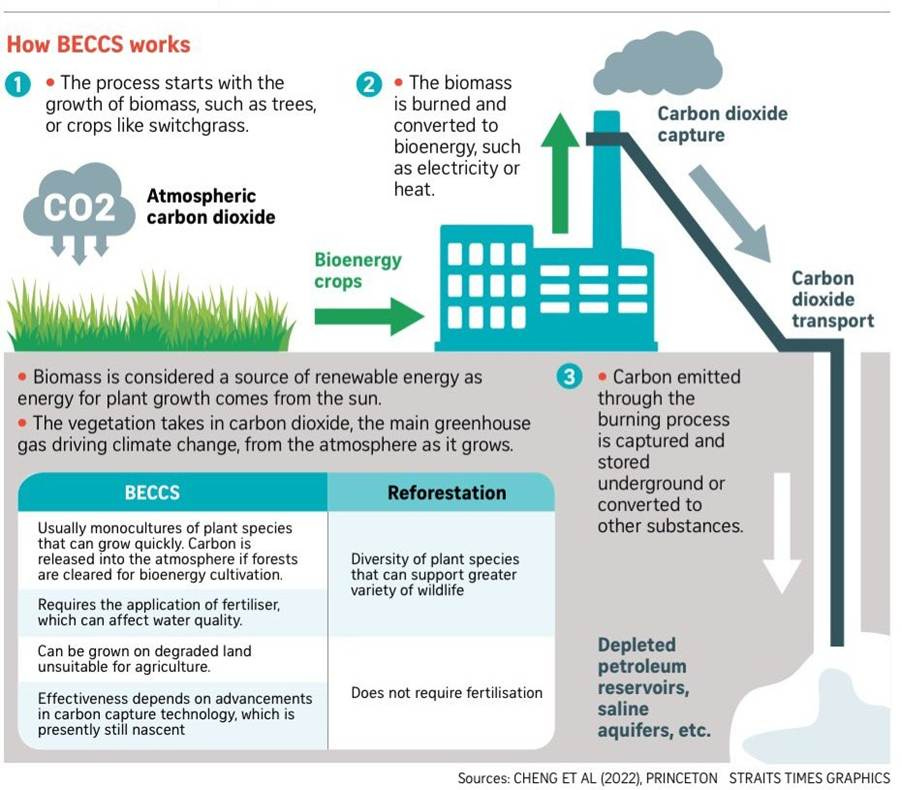 A diagram of a carbon dioxide plant

AI-generated content may be incorrect.