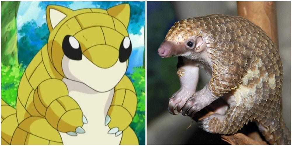 20 Pokémon That Are Basically Real Animals