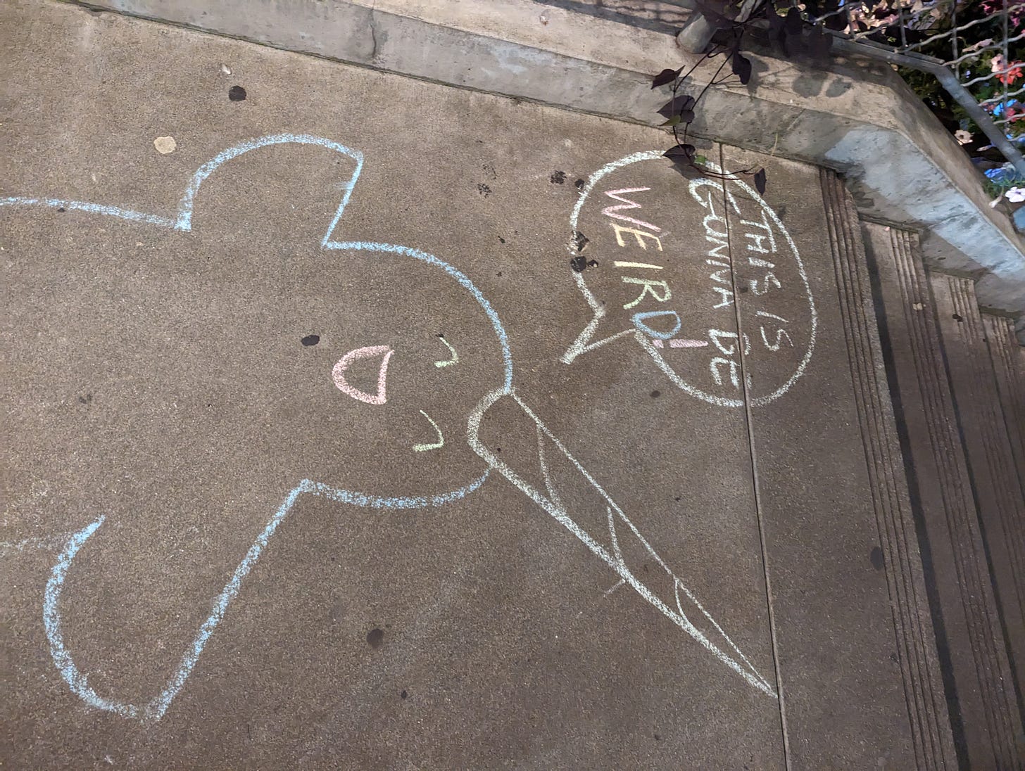A narwale drawing in chalk on the sidewalk with a text bubble coming from it saying "This is going tio get weird!"