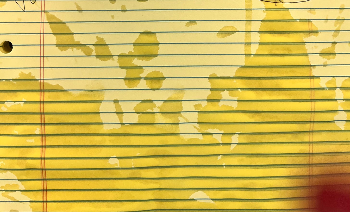 A lined, yellow legal pad with wet splotches from where I'd spit out my seltzer water and a very confused bee. 