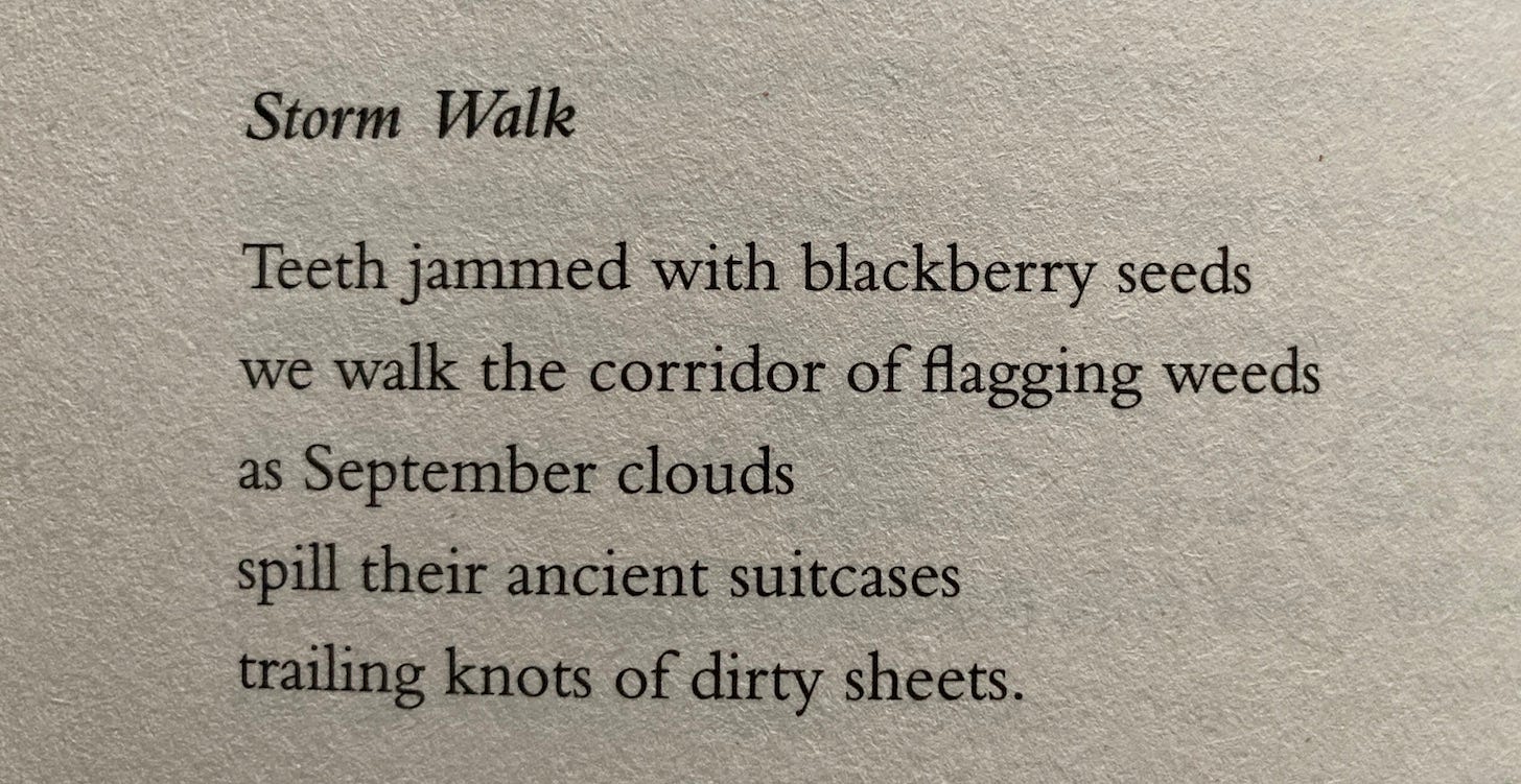 Field note in Under the Rock by Benjamin Myers. This is titled Storm Walk. It reads Teeth jammed with blackberry seeds we walk the corridor of flagging weeds as September clouds spill their ancient suitcases trailing knots of dirty sheets.