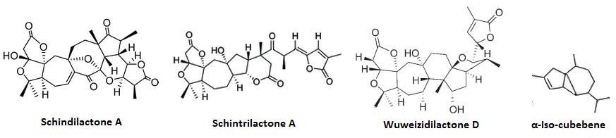 mechanism Triterpenoids