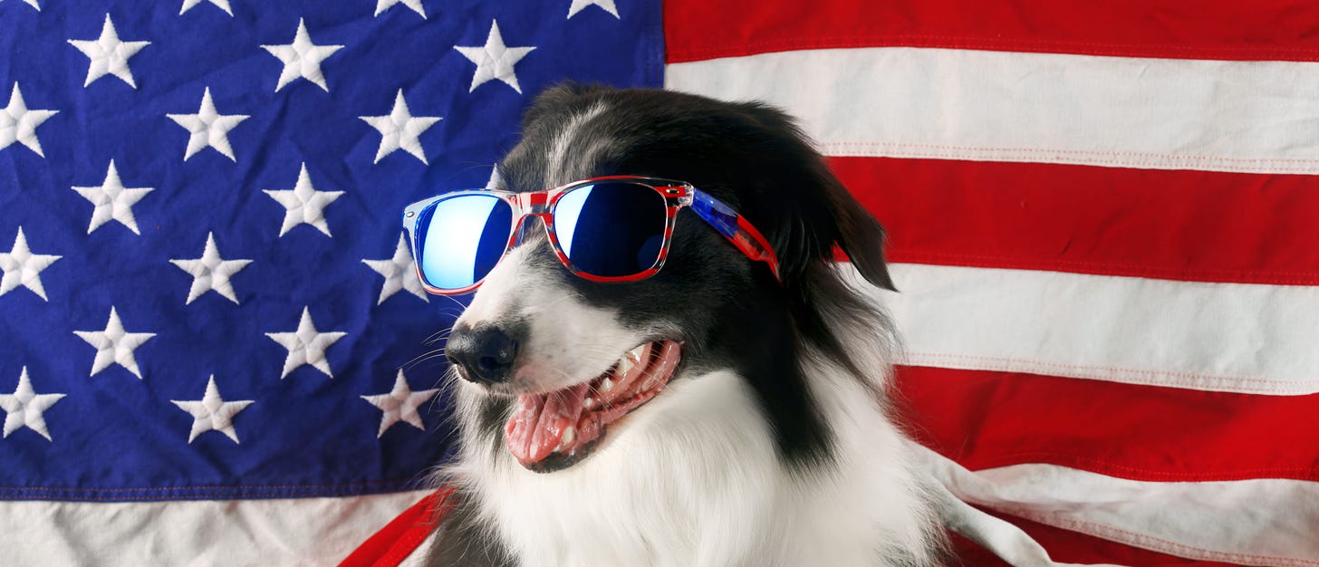 Watch These Patriotic Pups Show What Being American Is All About [VIDEO] | The Daily Caller