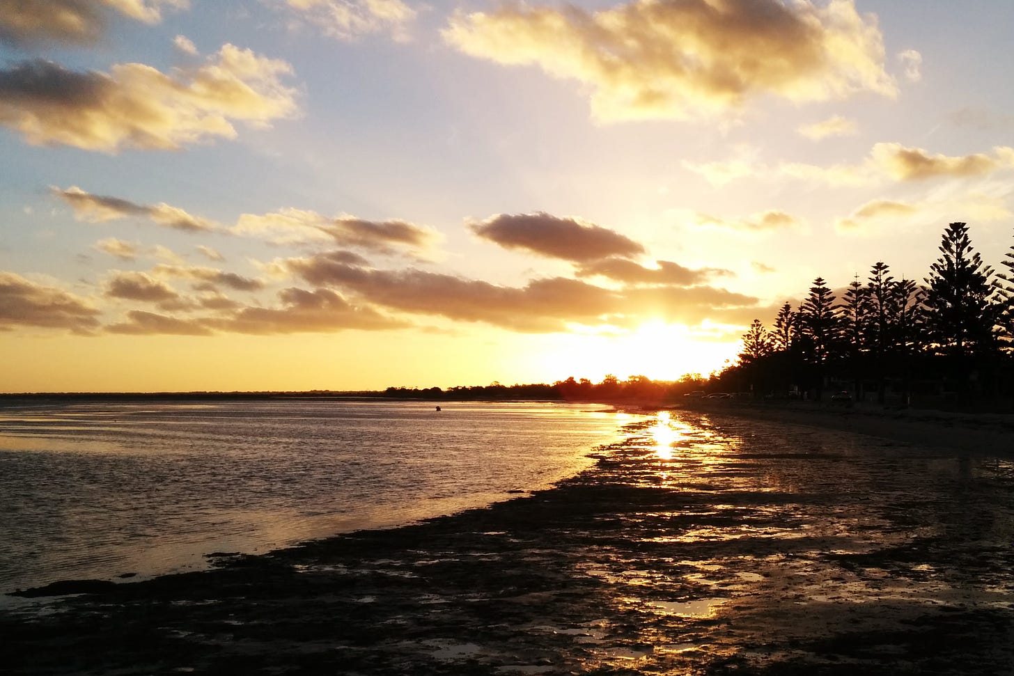 Sunset at a beach, the ocean curving towards the middle of the photo. There's seaweed on the sand, catching the warm light.