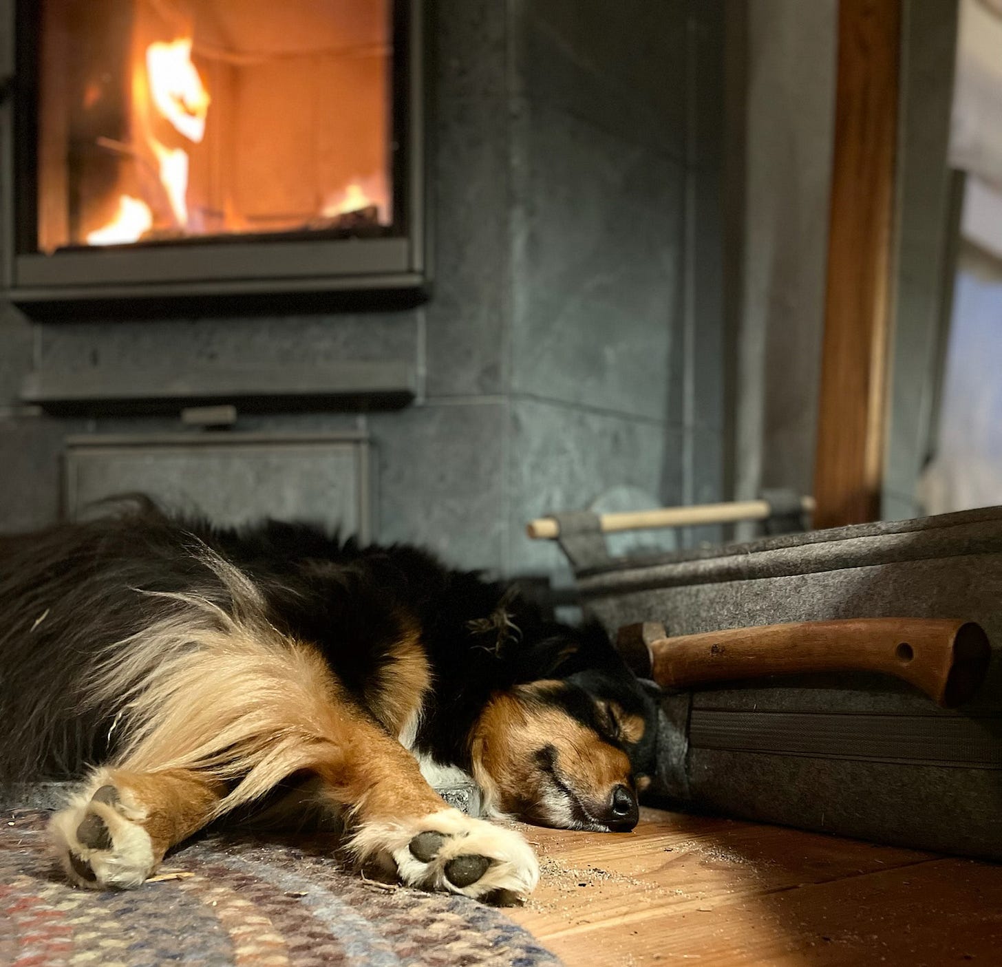 A peaceful dog lying on a rug, sound asleep in front of a wood-burning stove with a visible fire behind glass doors. The cozy scene suggests maximum comfort and tranquility.