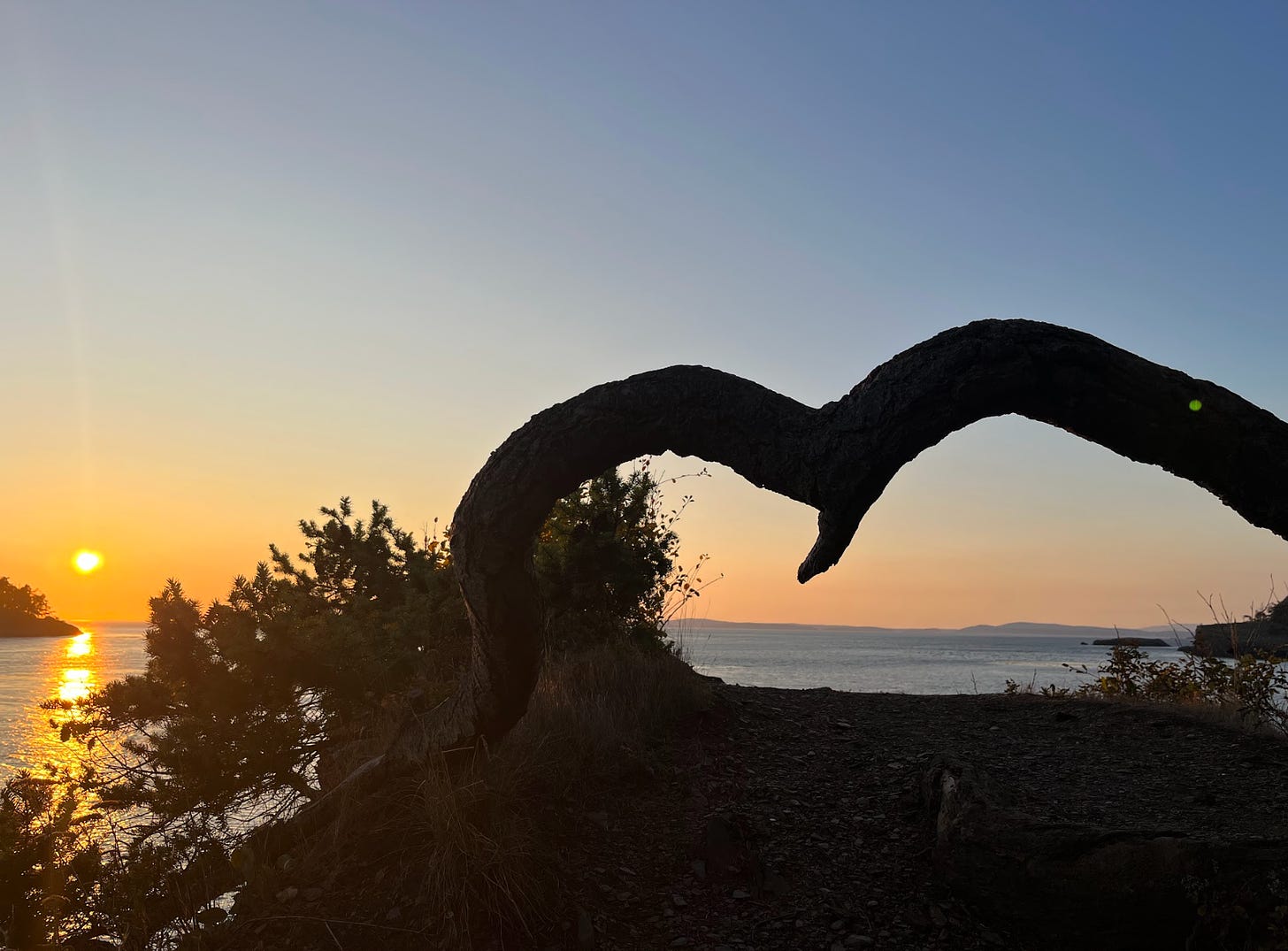 Heart shaped log on a bluff at sunset.