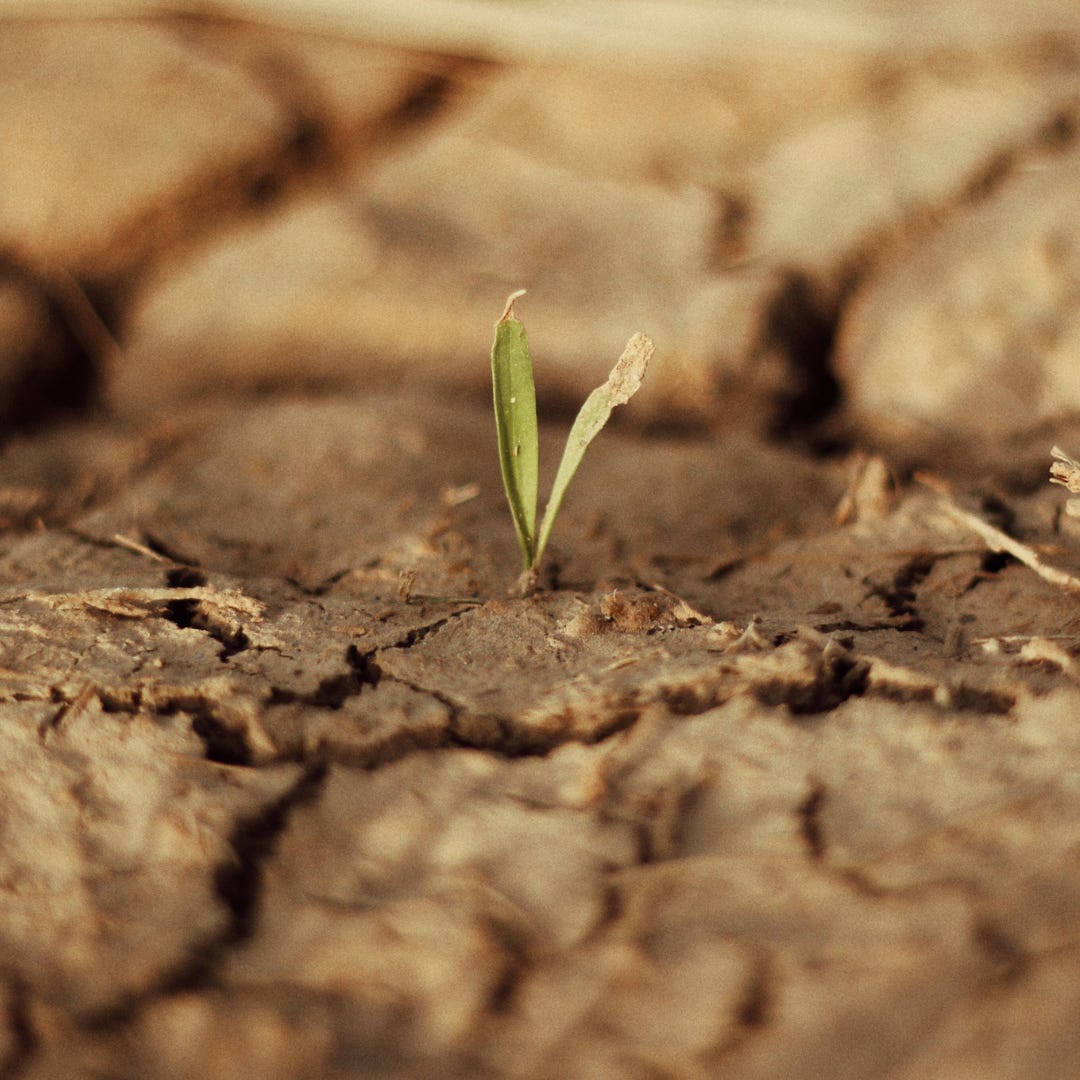 Filling Holes Pt. 1 Joy by Paula Casill