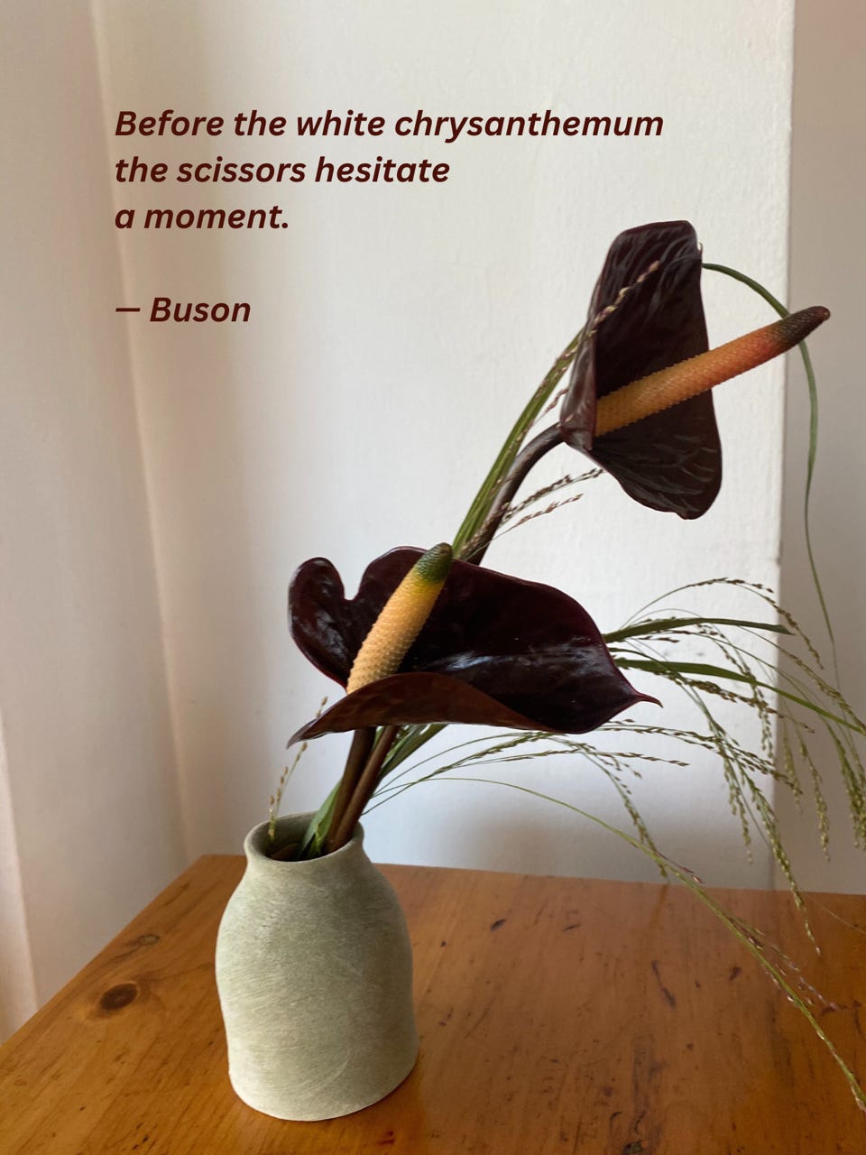 A photograph of an elegant arrangement of anthurium flowers and grasses. A haiku poem is overlaid: Before the white chrysanthemum/the scissors hesitate/a moment—Buson