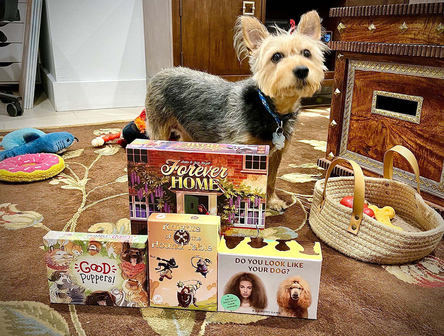 4 dog-themed board games with a dog standing behind them