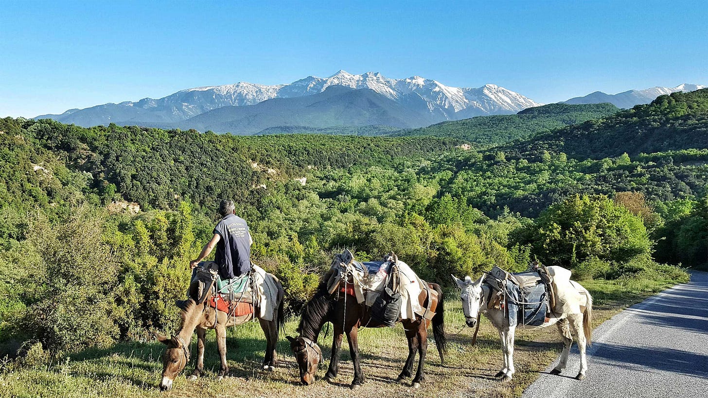 Mount Olympus seen in the distance.