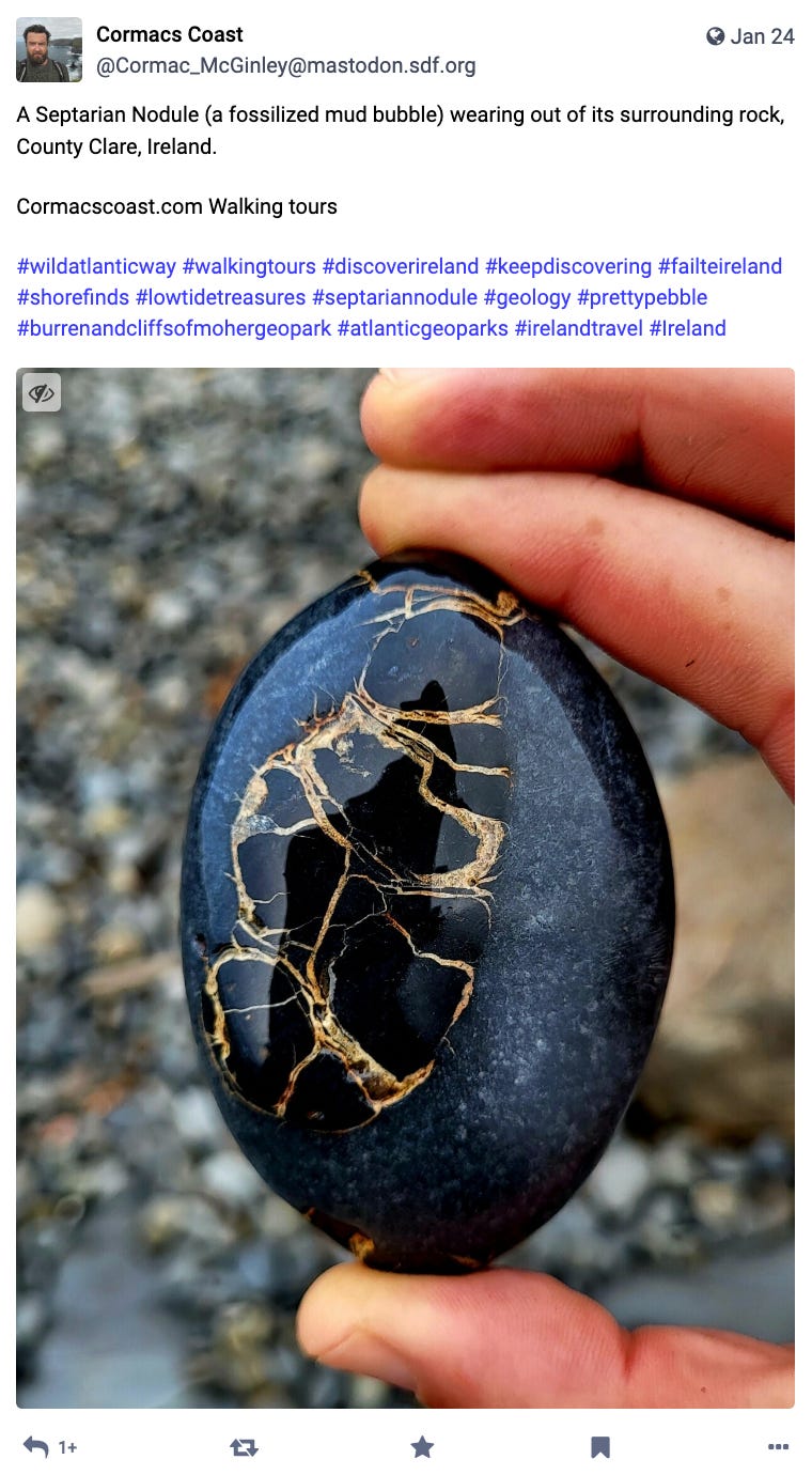 A Septarian Nodule (a fossilized mud bubble) wearing out of its surrounding rock, County Clare, Ireland.
