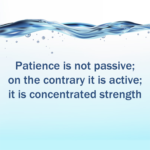 Patience is Not The Ability to Wait… – Chariot Learning