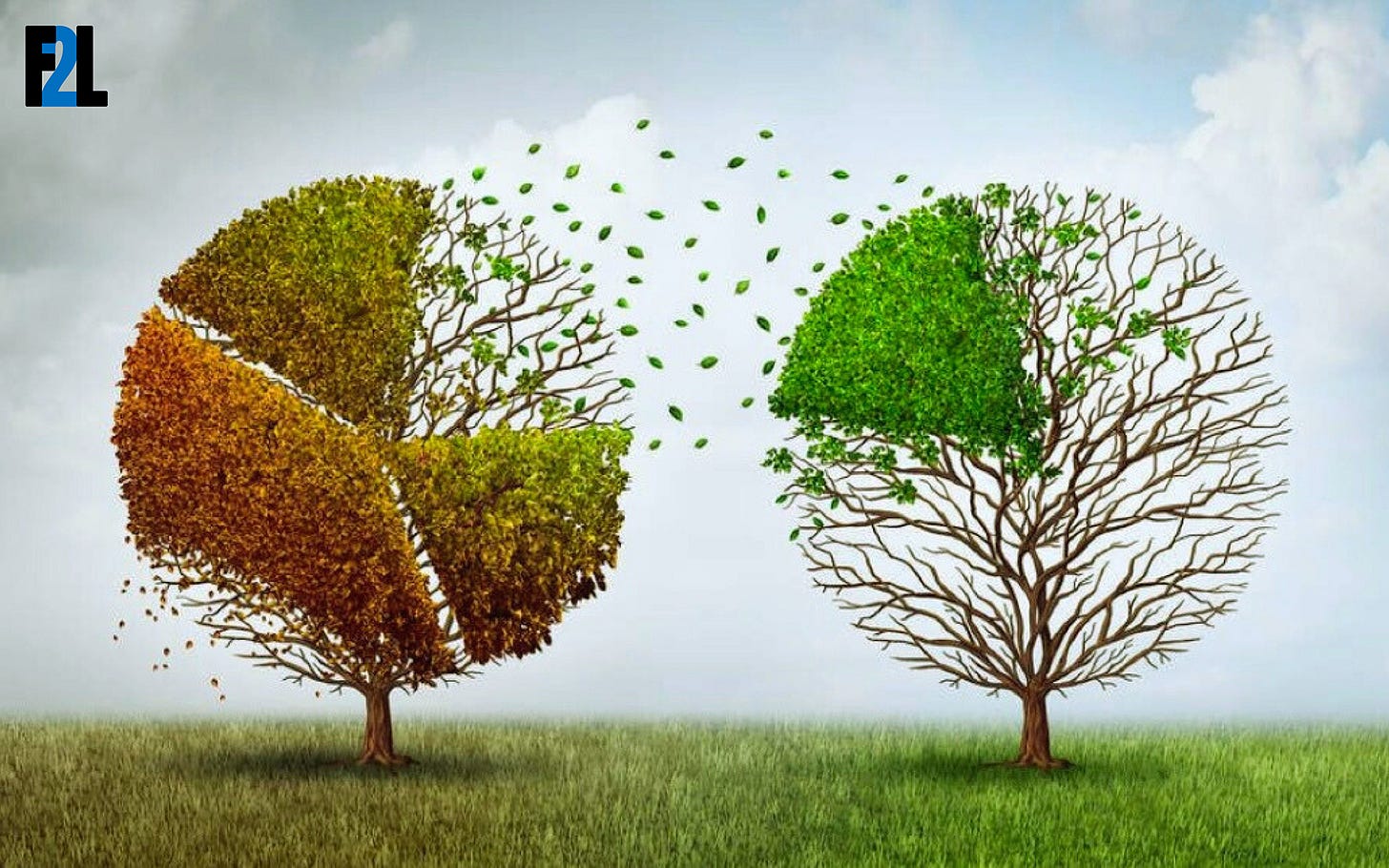 leaves flying from one tree to another