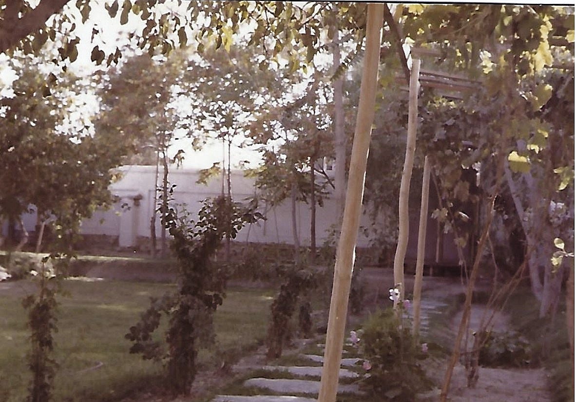 Picture of our garden in Kabul, AFghanistan