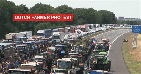 Dutch farmers protest proposed environment law that will shut down 30% ...