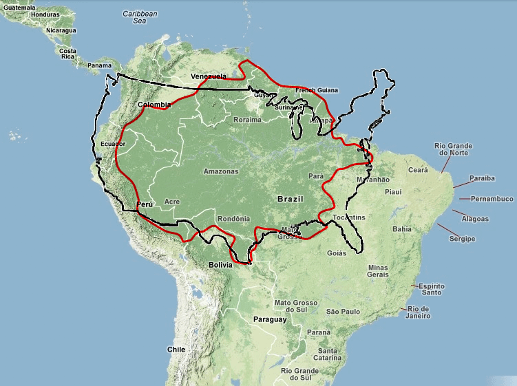 The size of the Amazon Forest compared to the United States : r/MapPorn