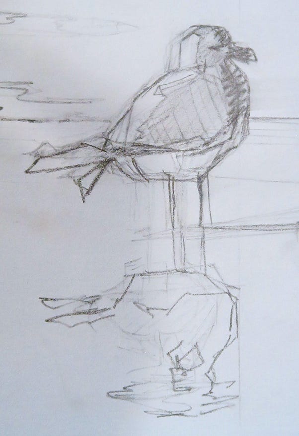 A drawing of a bird

Description automatically generated
