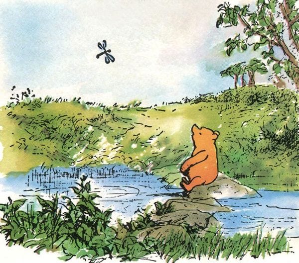 Pooh sitting by a stream, watching a dragonfly.