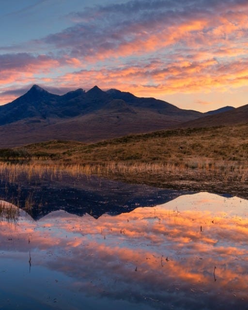 May be an image of nature and mountain