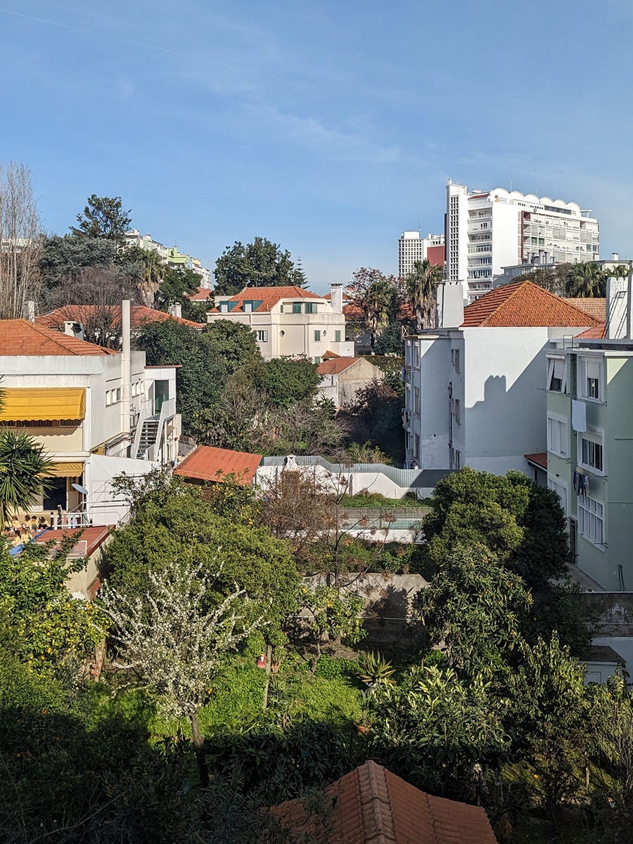 Photo of a lush garden and buildings viewed from a few floors up. The sky is blue, flowers and vegetation are growing, and many of the roofs are made out of orange tiles.
